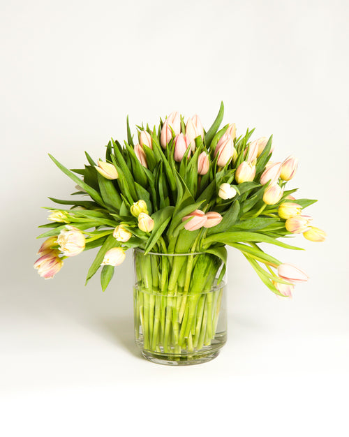 Vase Arrangements